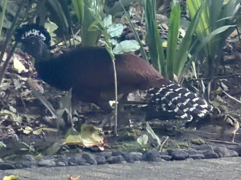 Eco Termales-克波斯必去景点