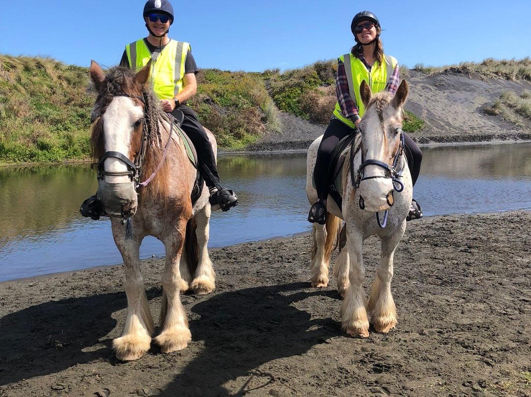 Muriwai Beach Horse Treks-穆里怀海滩必去景点