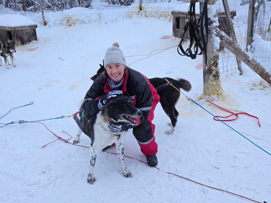 Beito Husky Tours Day Tours-Beito必去景点