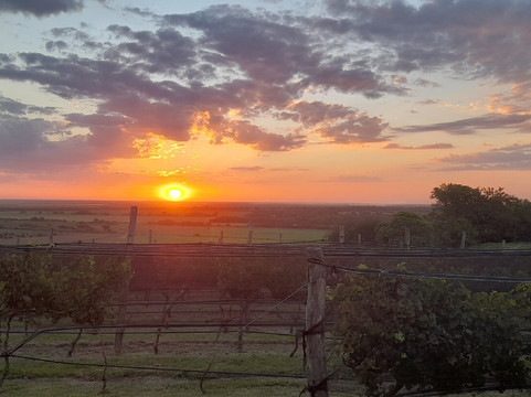 BordeRío Bodega & Viñedos-Victoria必去景点