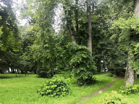 Tortilin Pond-泽列诺格拉茨克必去景点