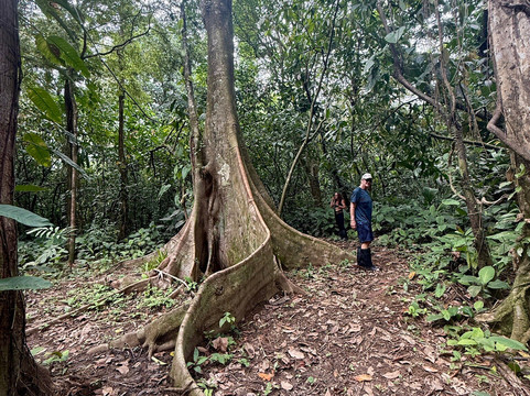 La Tierra Del Encanto-Isla Bastimentos必去景点