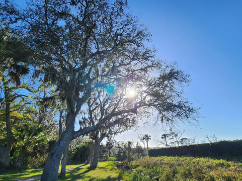 Fort Caroline National Memorial-杰克逊维尔必去景点