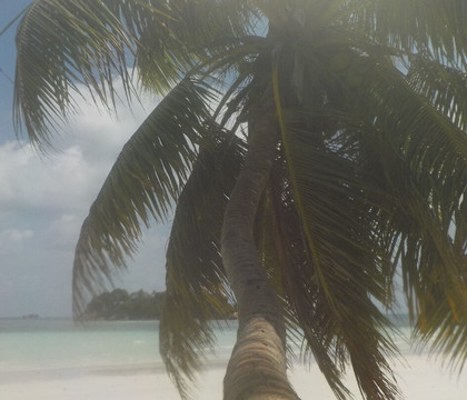 Coconut Services Seychelles-Baie Ste Anne必去景点