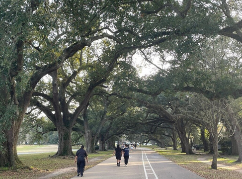 奥杜邦公园-新奥尔良必去景点