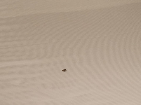 波奇奥勒托度假村及水疗中心主图