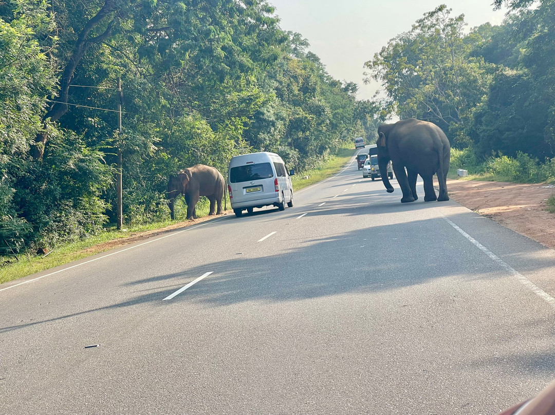 Biwonway Travels-Divulapitiya必去景点