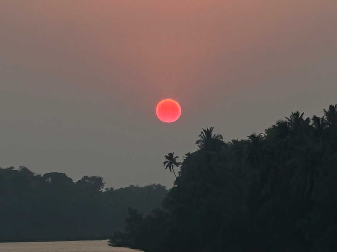 John's Boat Tours - Day Tours-坎多林必去景点