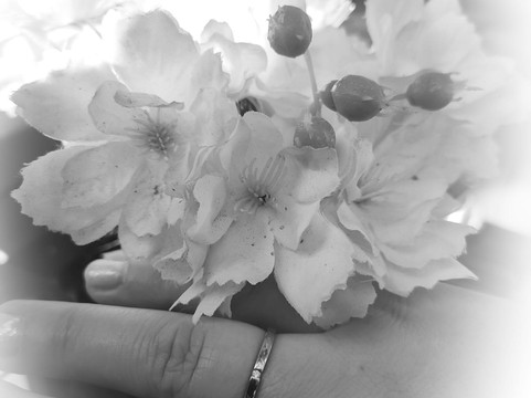 Premier Garden Cocktail Bar-塞维利亚必去景点