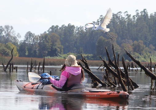 Rio Vivo-瓦尔迪维亚必去景点