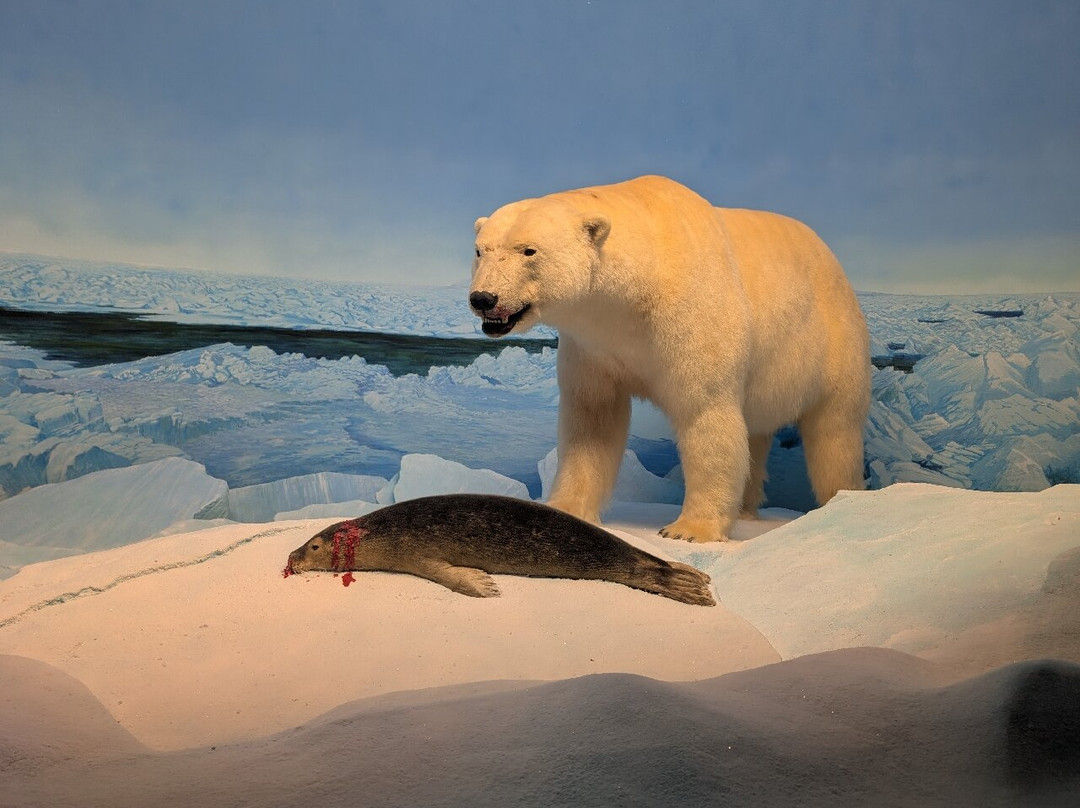 Manitoba Museum-温尼伯必去景点