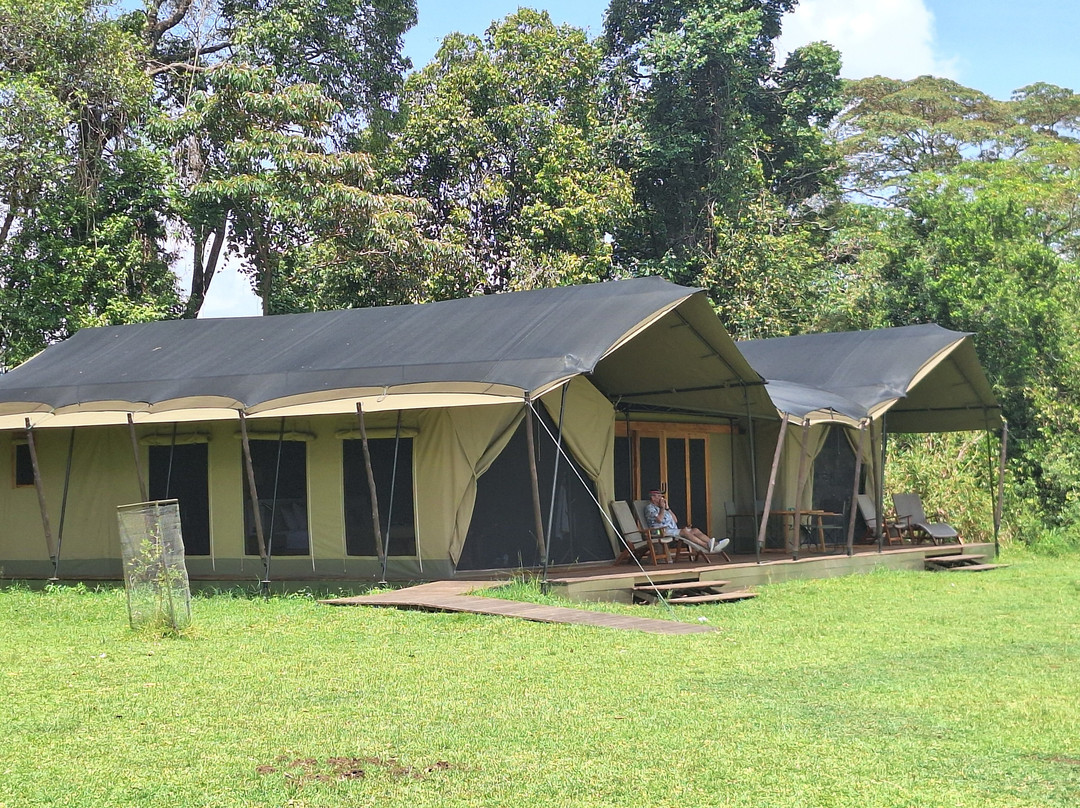 Face 2 Face Safaris-查佛必去景点