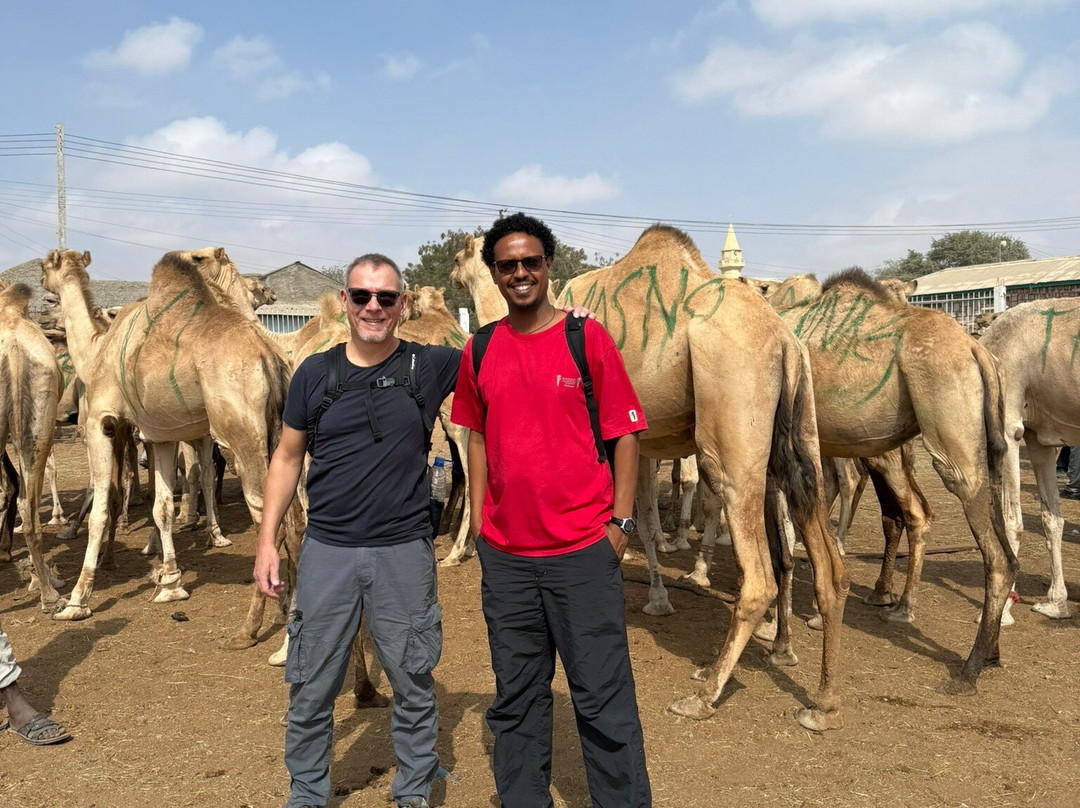 Visit Horn Africa-Hargeysa必去景点