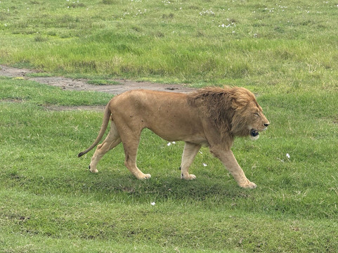 Unlimited Expeditions - The Soul Of Tanzania-阿鲁沙必去景点