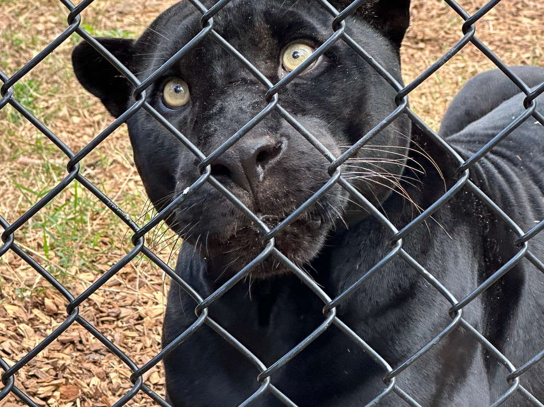 Panther Ridge Conservation Center-Loxahatchee必去景点