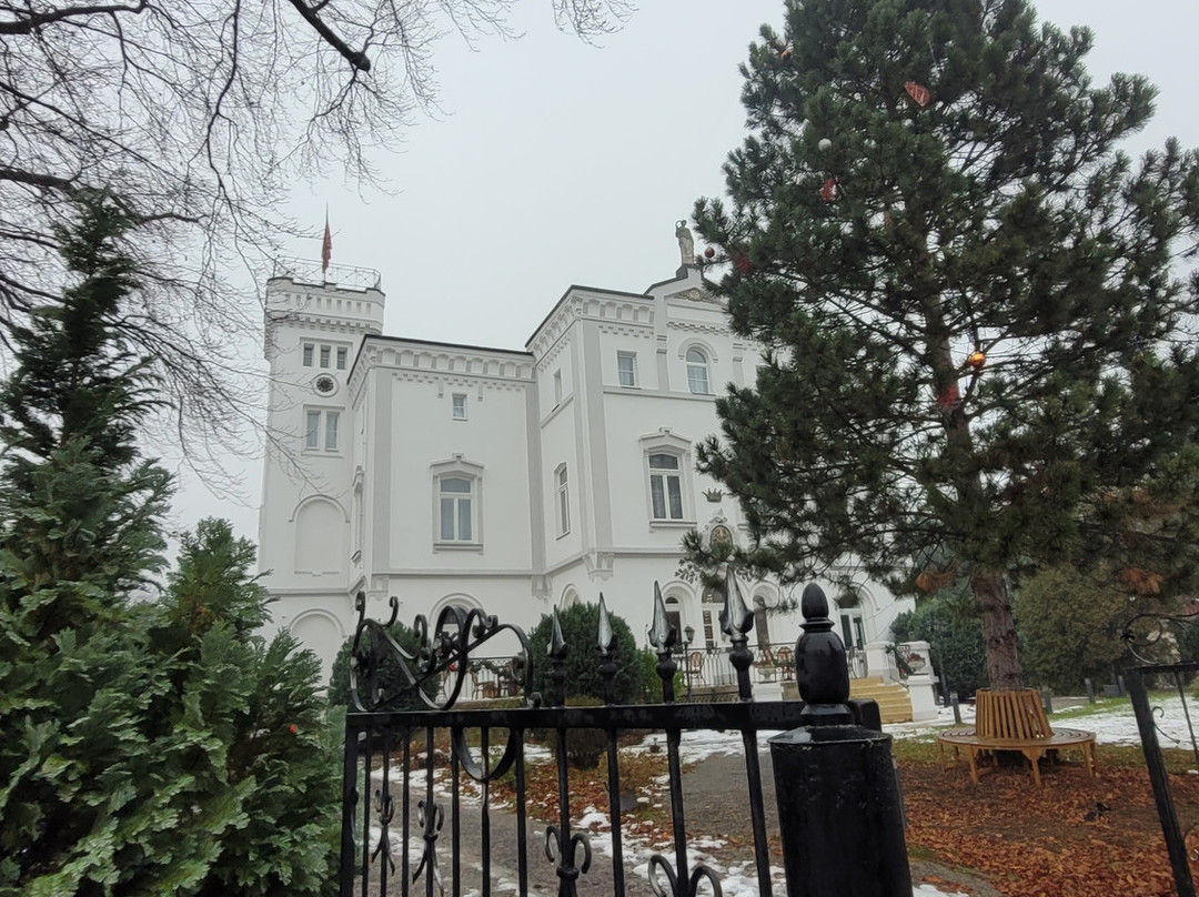 Chateau Franz