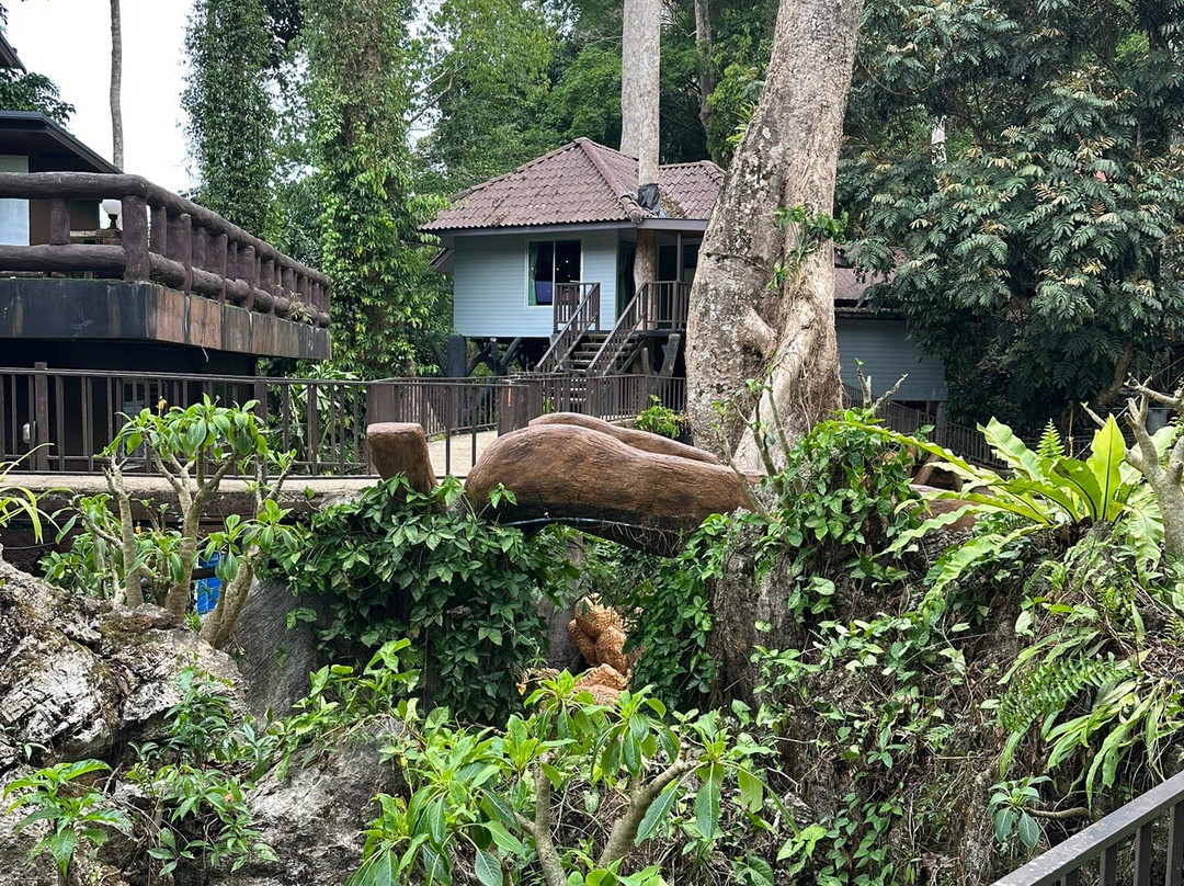 岩石树屋度假酒店主图