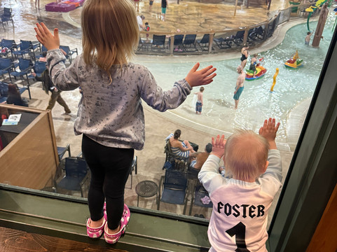 特拉弗斯城大狼山林小屋主图