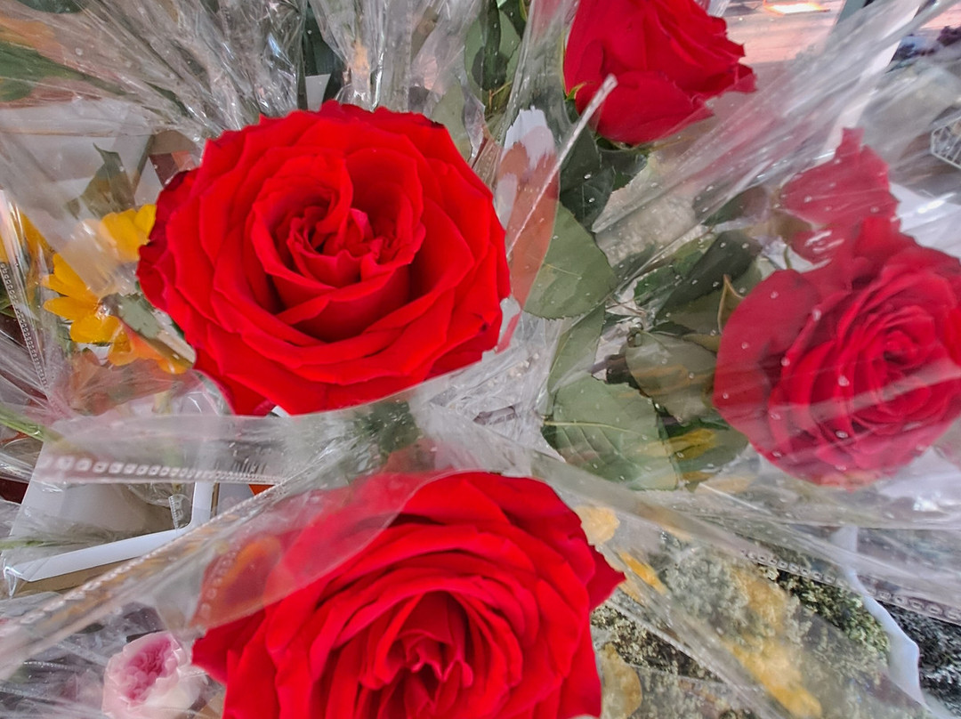 5 Senses Tours-班加罗尔必去景点