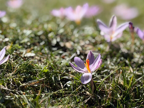 A Muvrella Randonnees-Solaro必去景点