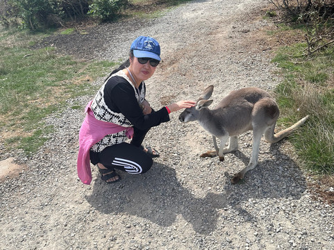 菲利普岛野生动物园-考斯必去景点