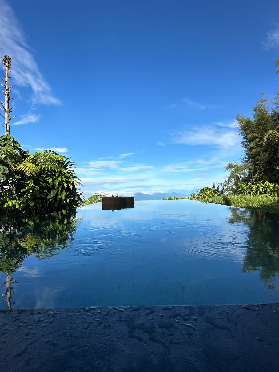 巴厘岛门都莫丁庄园自然度假村及水疗中心-泳池