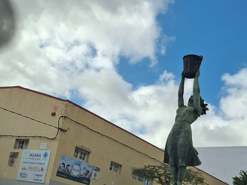 Homenaje a la Cestería-Ingenio必去景点