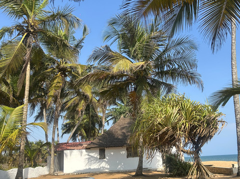 La Maison de la Lagune主图