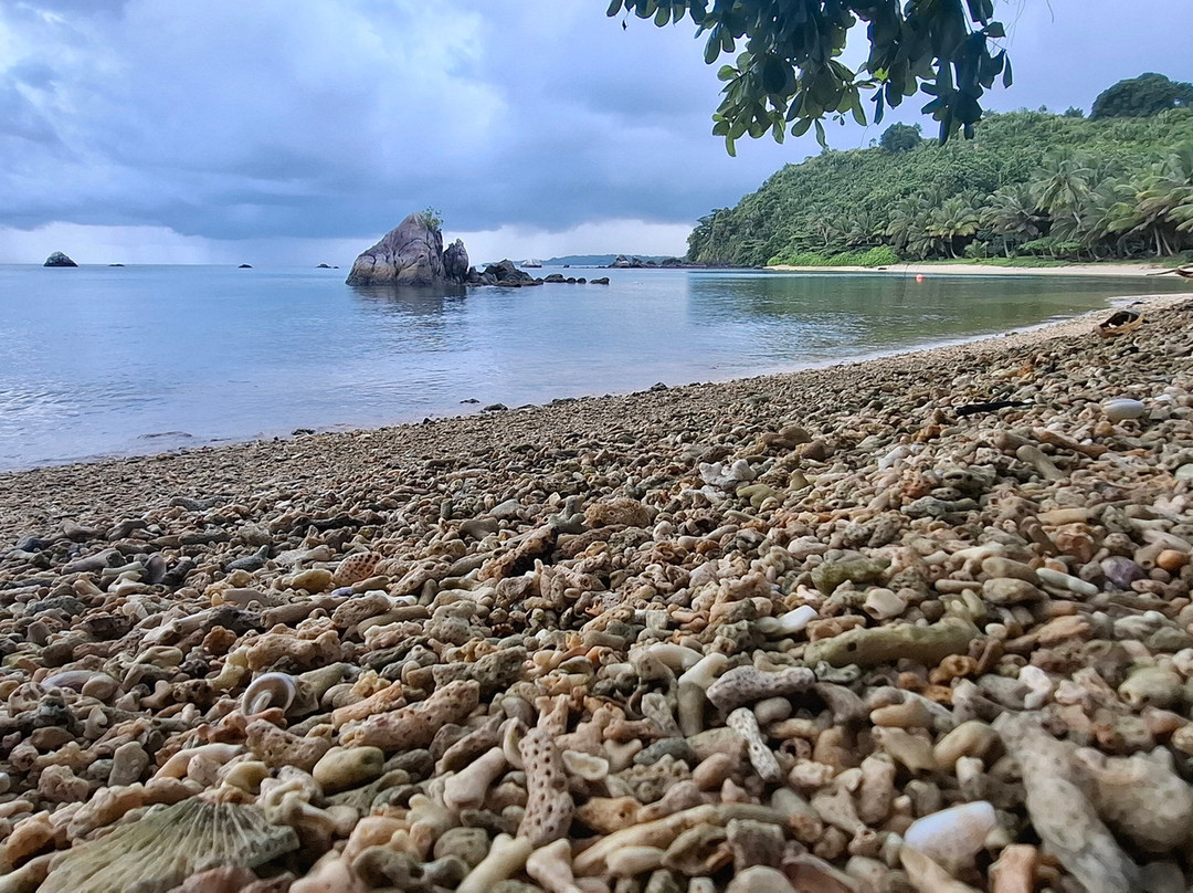 纳提奥拉绿色小屋主图