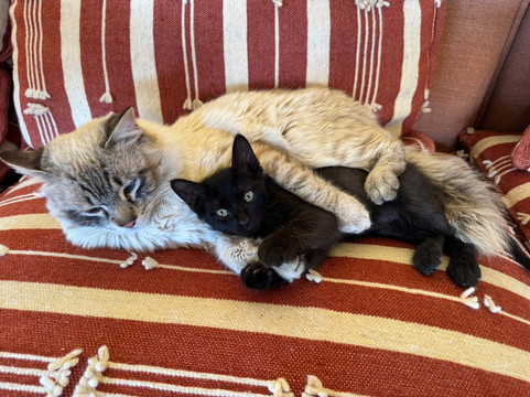 Authentic Morocco-马拉喀什必去景点