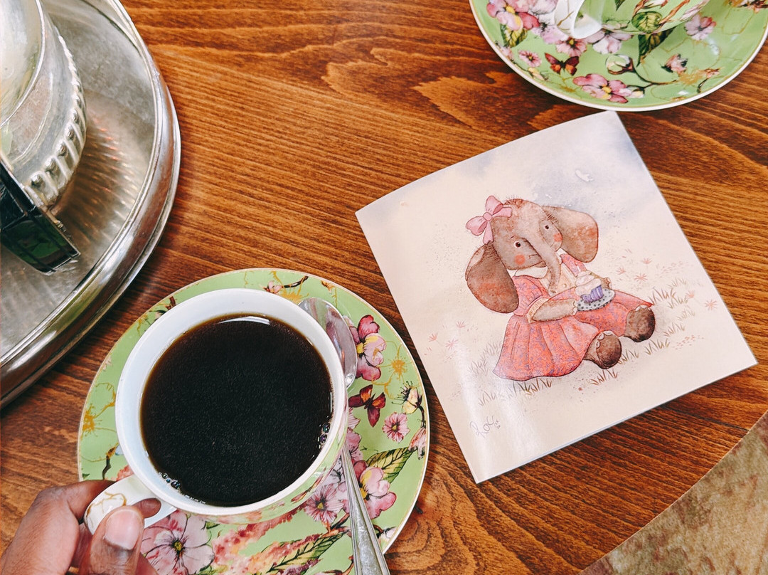 Wild Is Life-哈拉雷必去景点