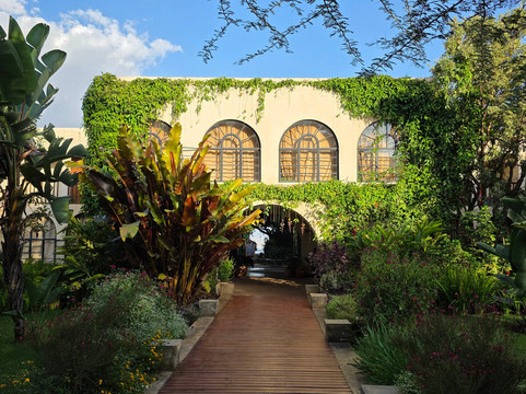 Tanzania Specialist-阿鲁沙必去景点