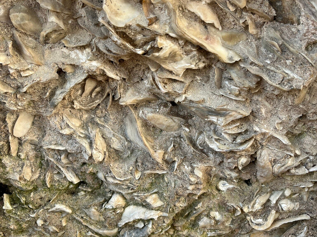 Owens-thomas House & Slave Quarters-萨凡纳必去景点