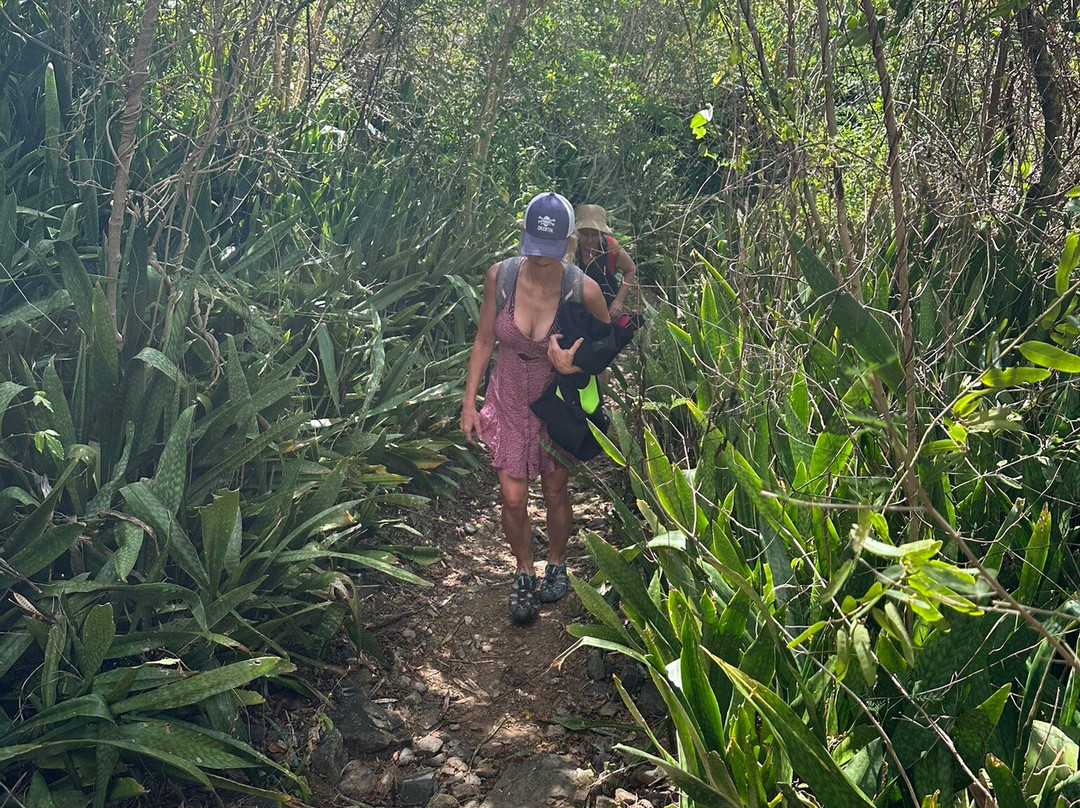 Brown Bay Trail-圣约翰必去景点