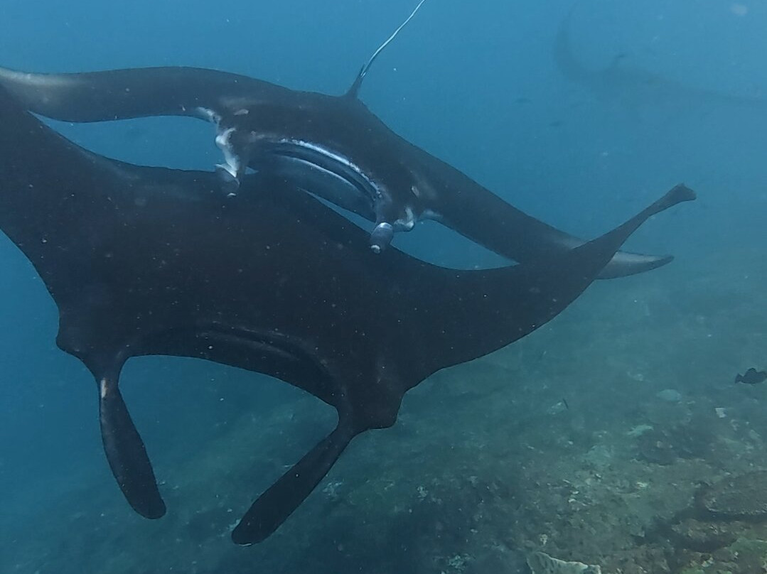 Nusa Penida Sea View-珀尼达岛必去景点