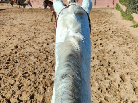 Centro Ecuestre Entrepinares-塞维利亚必去景点