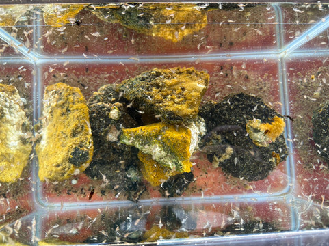 Salar de Tara-圣佩德罗-德阿塔卡马必去景点