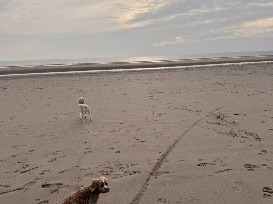 Harlech Beach-Harlech必去景点