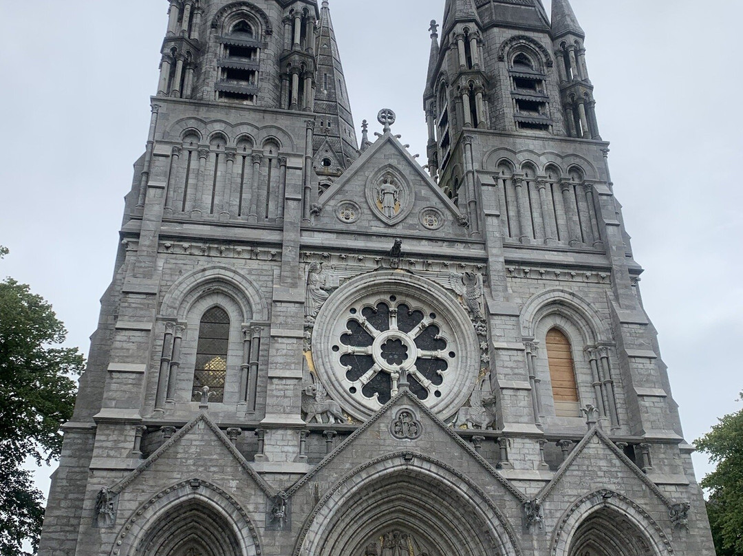 St Fin Barre's Cathedral-科克必去景点
