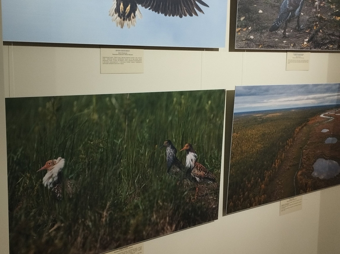 Yamalo-Nenets Okrug Museum and Exhibition Complex Named After I.S. Shemanovsky-Salekhard必去景点