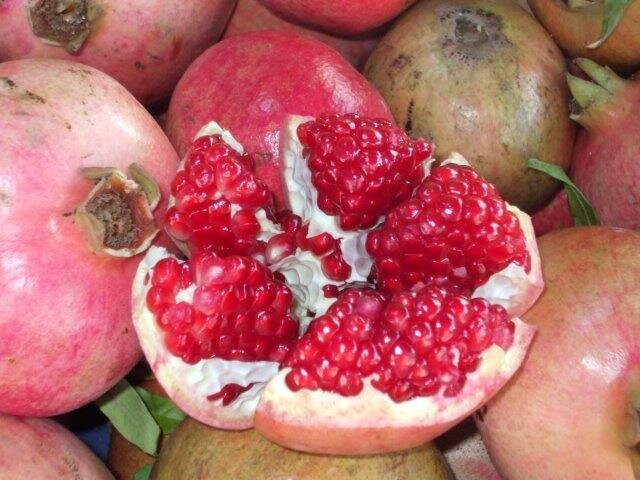 Olive Spa Center-Evrenseki必去景点