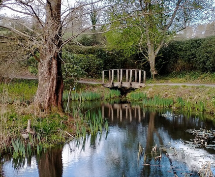 Furzey Gardens-Minstead必去景点