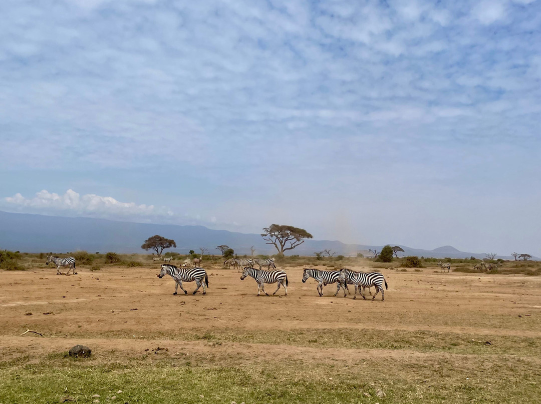 Marhaba Holidays-内罗毕必去景点