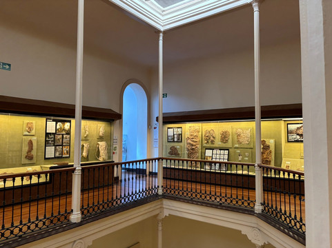 El Museo Canario-大加那利岛拉斯帕尔马斯必去景点