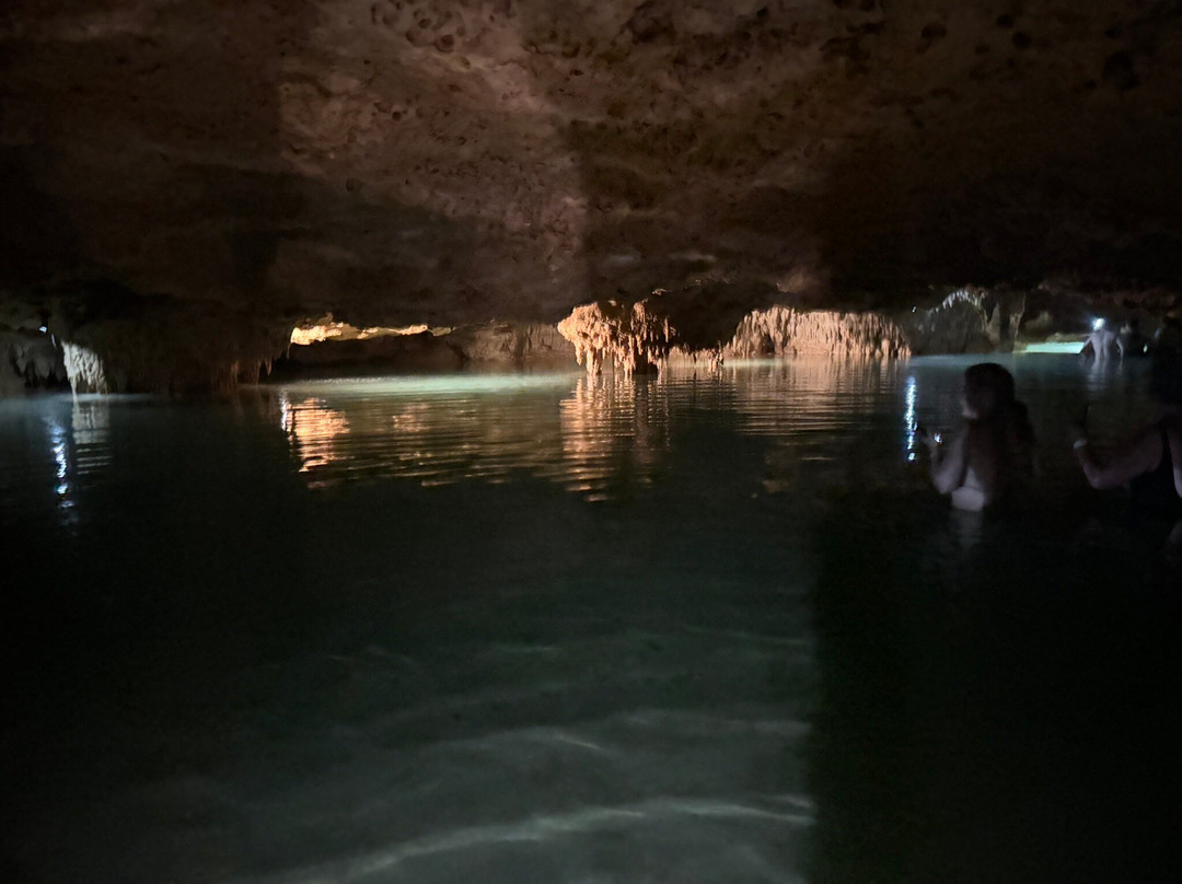 Akumal Monkey Sanctuary & Rescued Animals-艾库玛尔必去景点