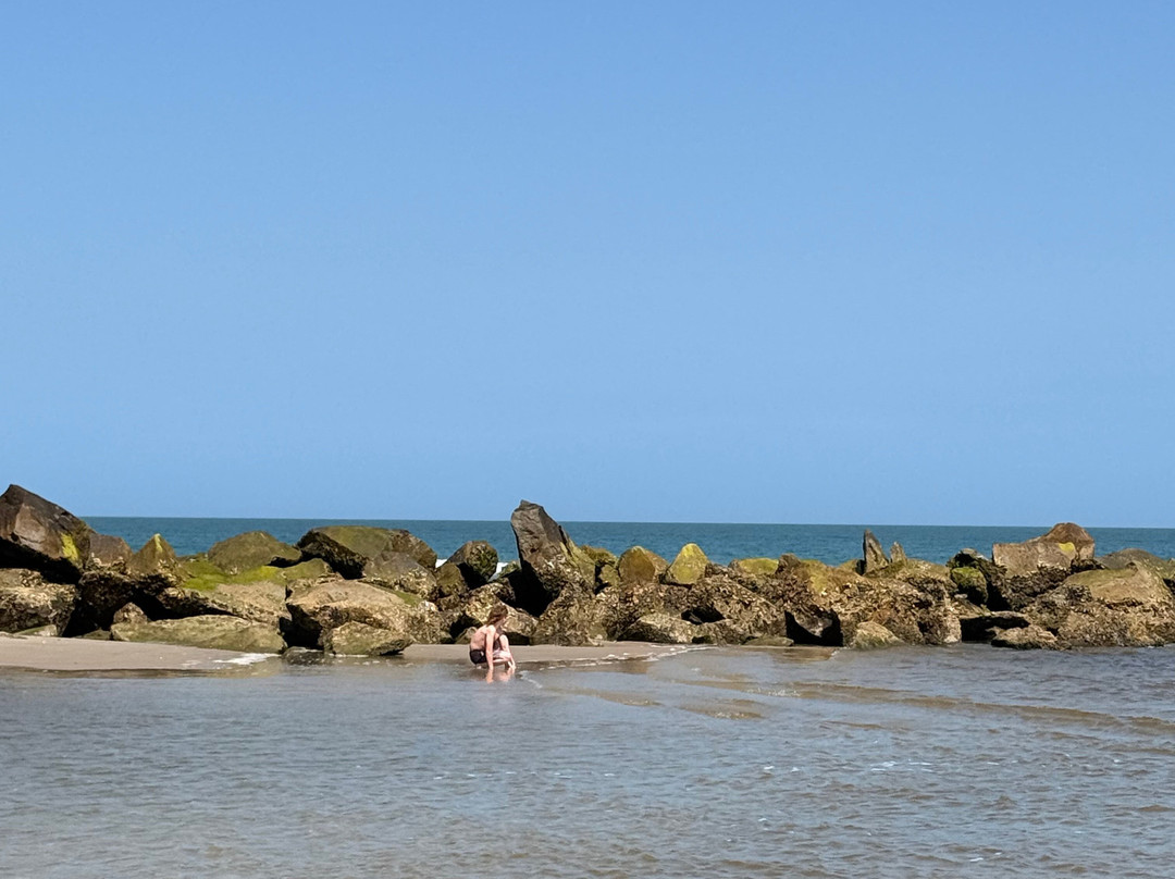 Cap'n Rod's Lowcountry Shell Island & Plantation Tours-乔治敦必去景点