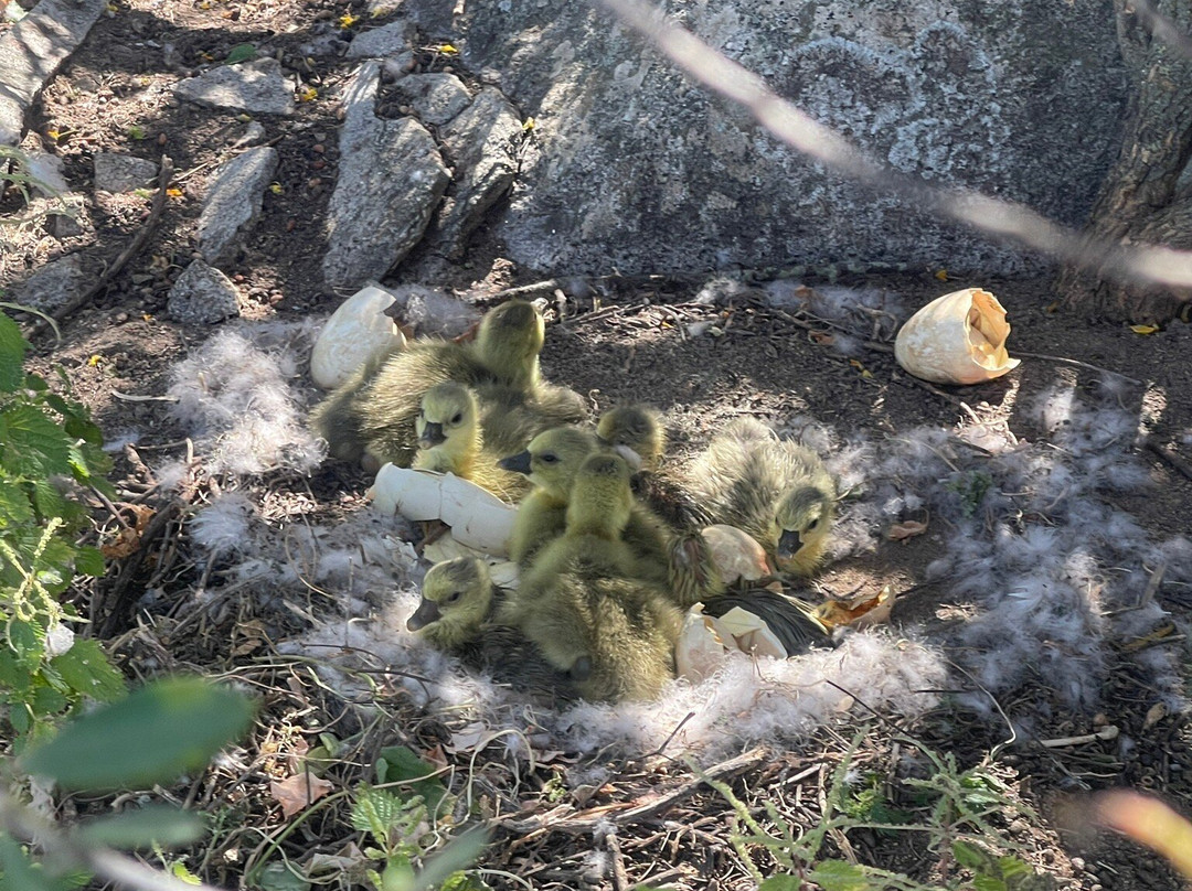 Alqueva Cruzeiros-Reguengos de Monsaraz必去景点