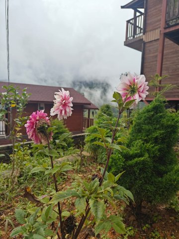 万普拉斯塔度假村-官方