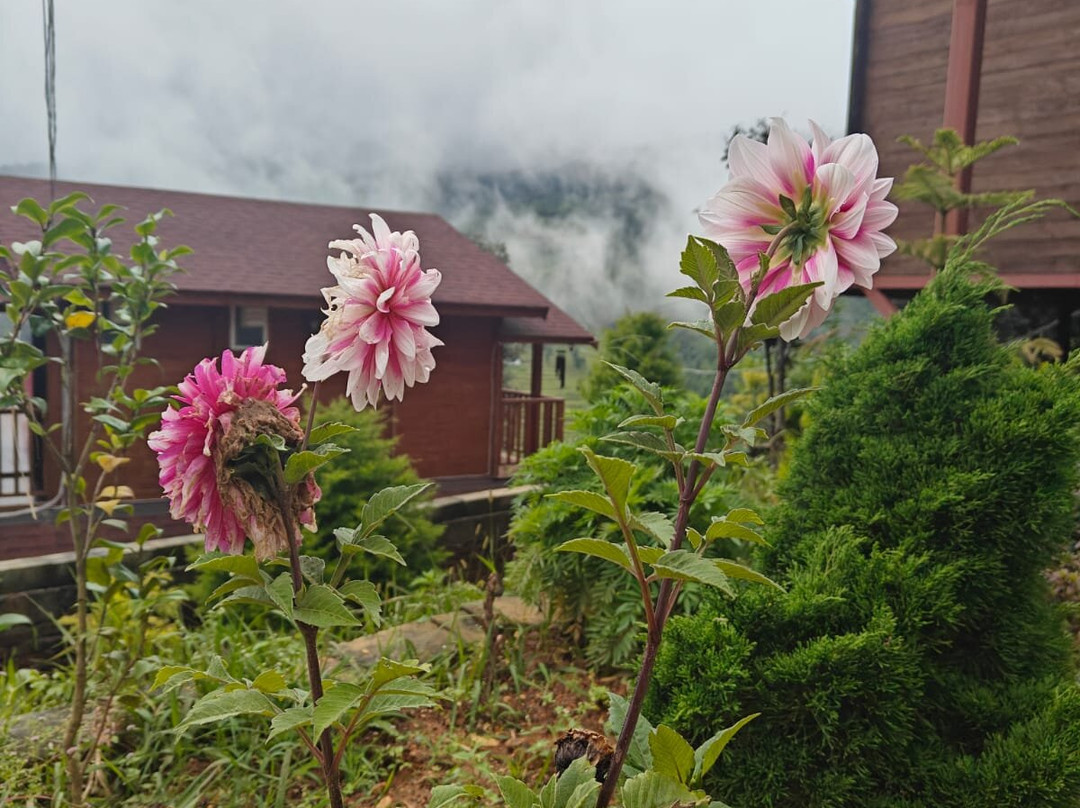 万普拉斯塔度假村主图