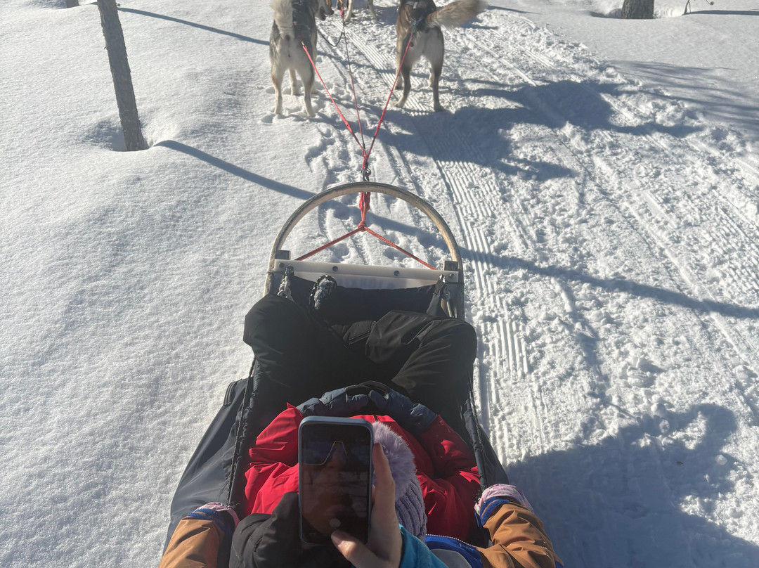 Trysil Husky-Torberget必去景点